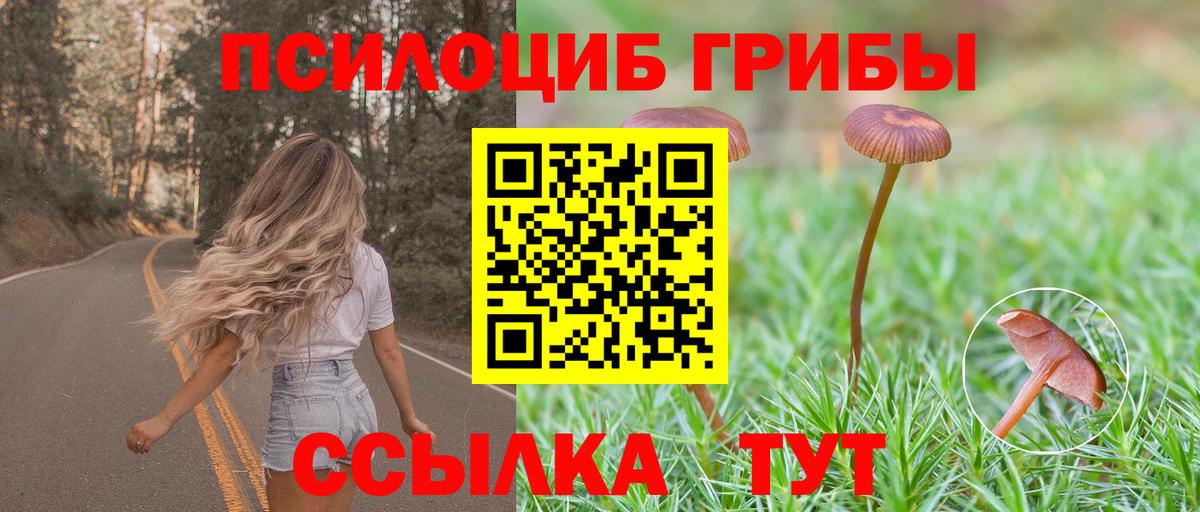 Галлюциногенные грибы прущие грибы Богородск